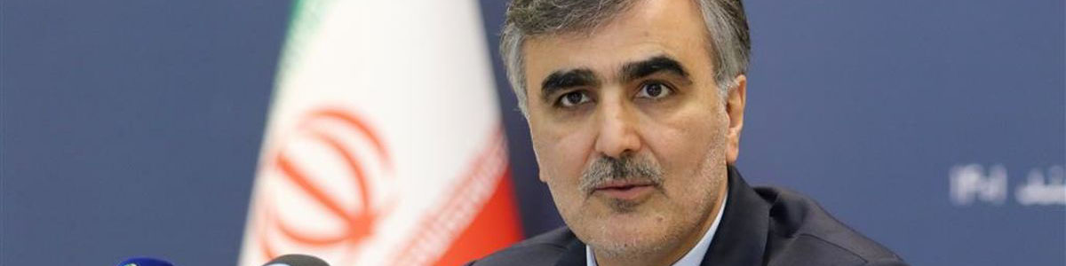 محمدرضا فرزین: ایران عضو و سهامدار بانک بریکس می‌شود